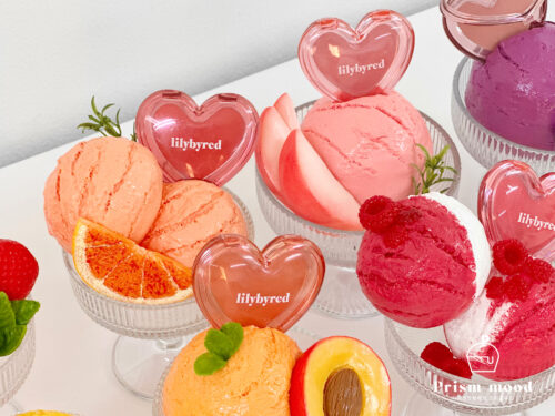 [제품명3] 모형 전체 형태 이미지